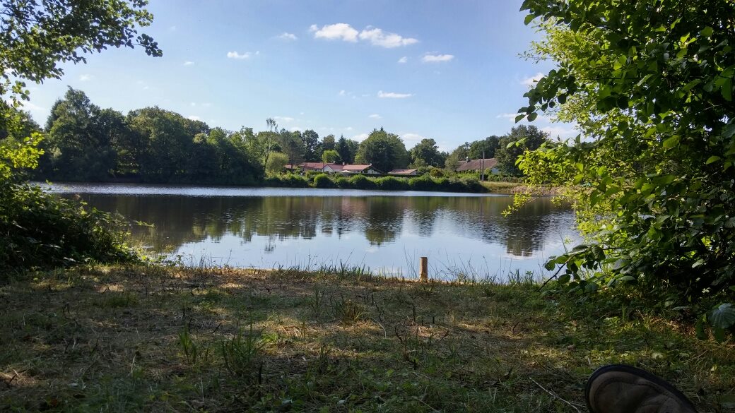 Last year Fishing 2022